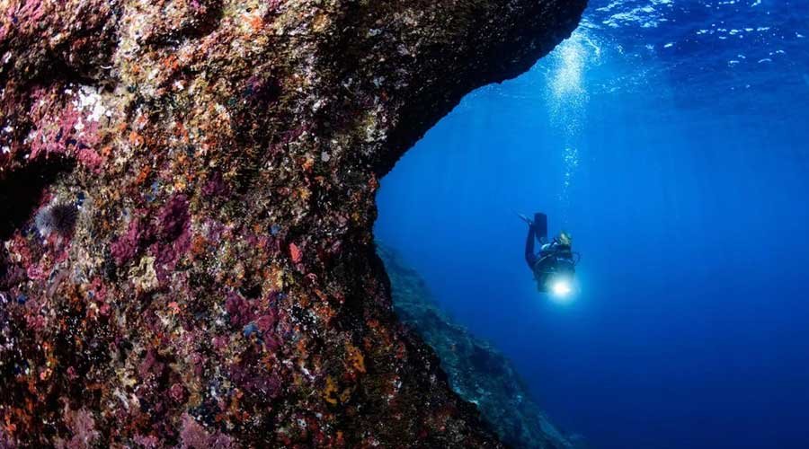 komodo labuan bajo